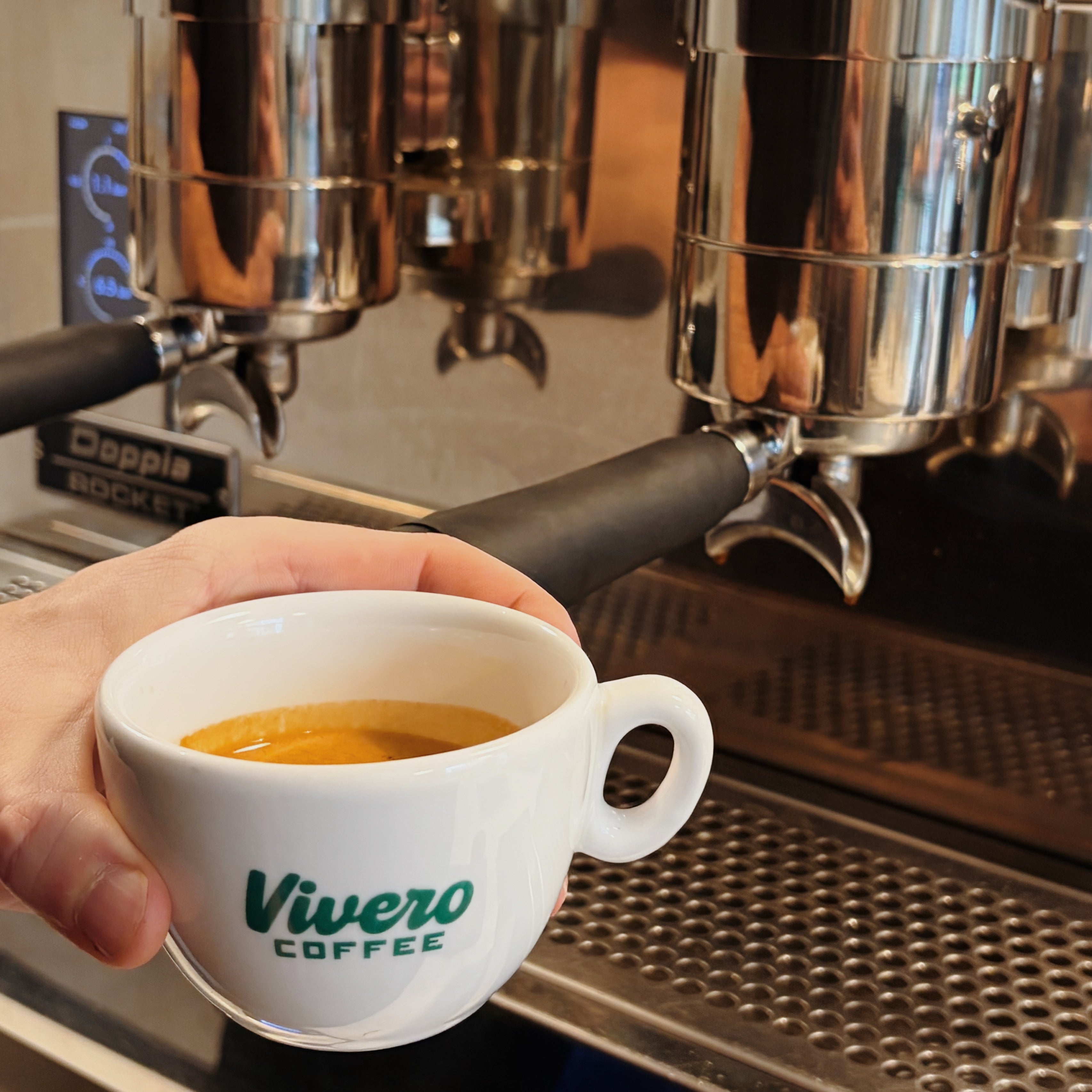 Introduction to Espresso & Extraction | German