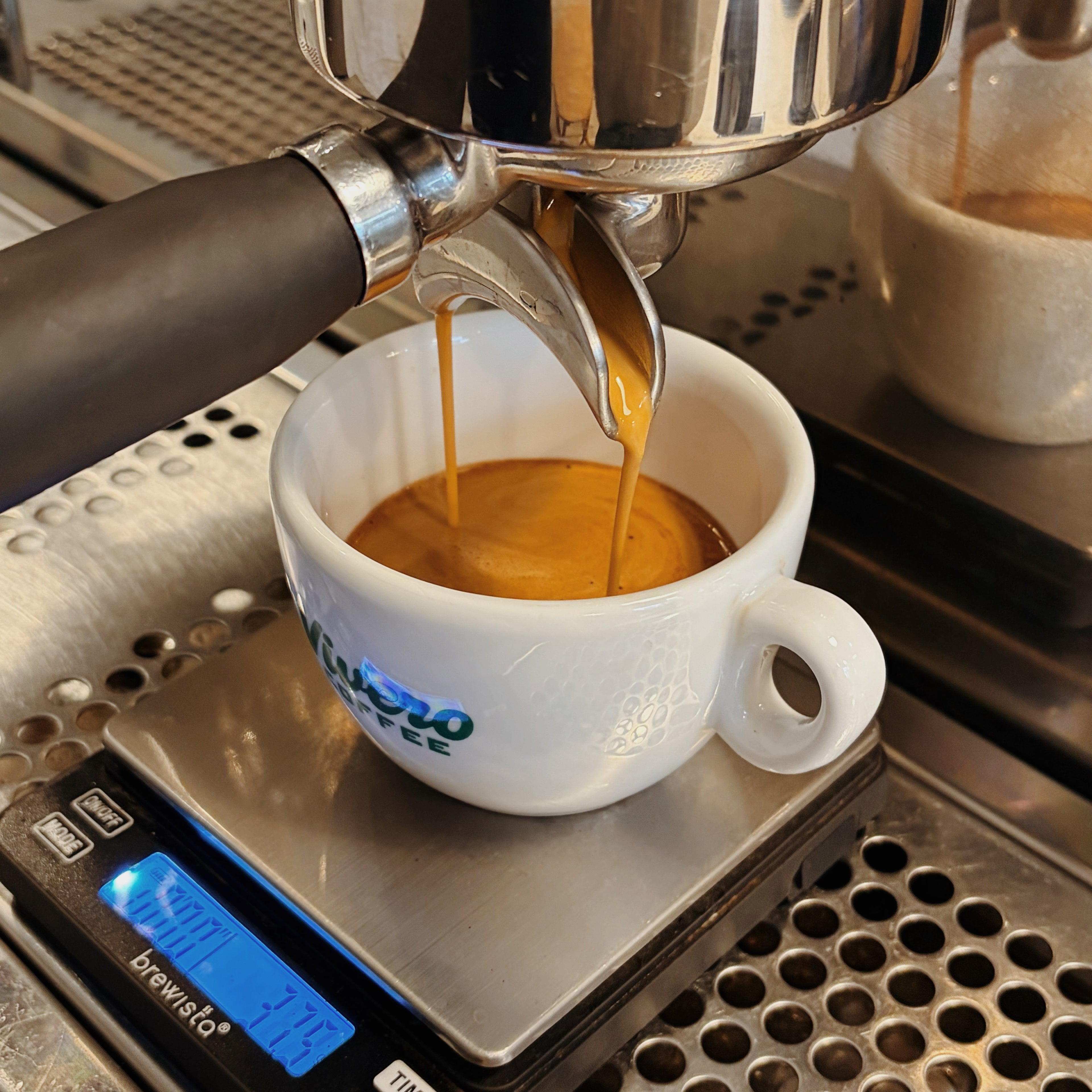 Introduction to Espresso & Extraction | German