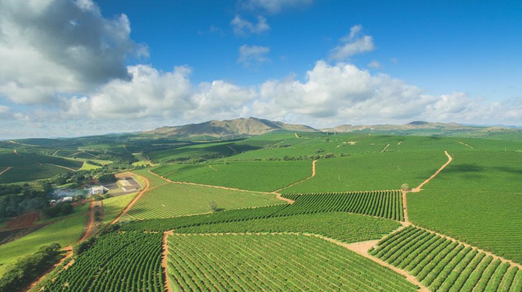 Cafeina Brasil Espresso